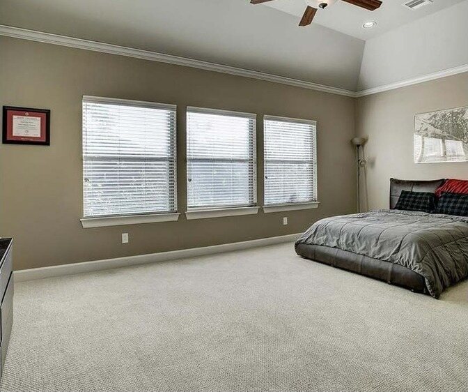 Primary bedroom with dark taupe walls